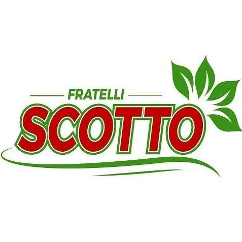 Scotto